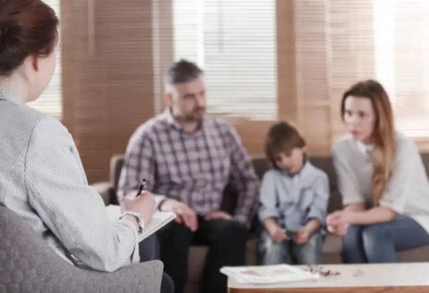 Different Parenting Styles and Expectations: Finding Common Ground Through Mediation Hornsea